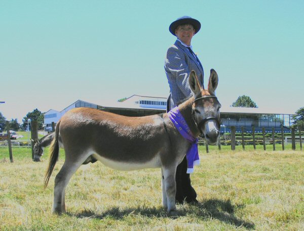 Riverside Sparky Magnito, Champion at Tauranga Show 2004